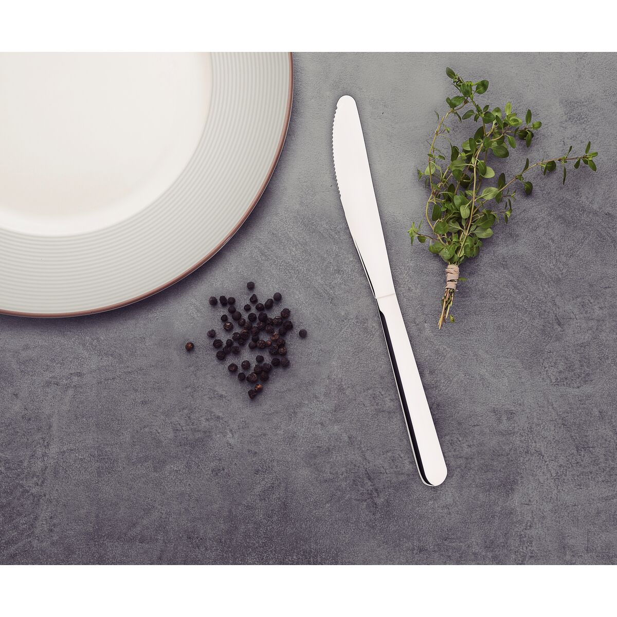 Tramontina Table Knife Malibu - 23731/404